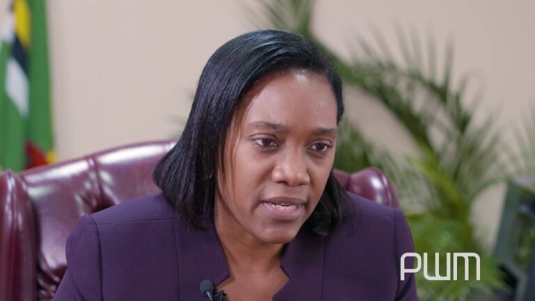 Nature Isle of the Caribbean : The importance of FDI – Investing in Dominica: 3/5 – PMW