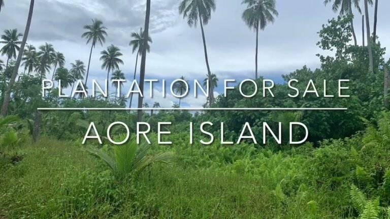 Real Estate Vanuatu. Rural Propery for sale Aore Island