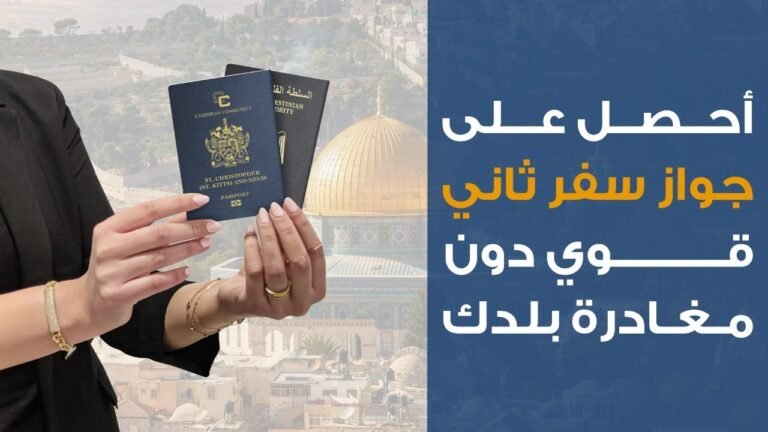 "بلومينا | حفل إطلاق فيلم "وإنت ببلدك