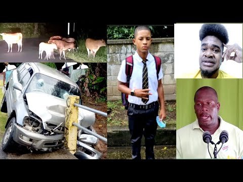 🔴ANOTHER TEEN GOES MISSING/ COWS TAKING OVER: ROAD BLOCK & RUBIS STATION UPDATE | Mystelics Reacts