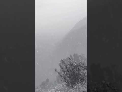 Heavy hail falling #shorts #dailyvlog #tiktok #vlogvideo #viralshorts #dailyvlog #biography