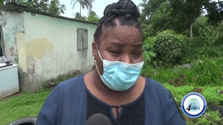 VIEUX FORT WOMAN DIES AFTER ATTACK BY SWARM OF BEES