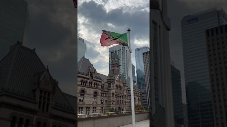 Saint Kitts & Nevis Flag at Toronto City Hall to Commemorate Independence. 🇰🇳