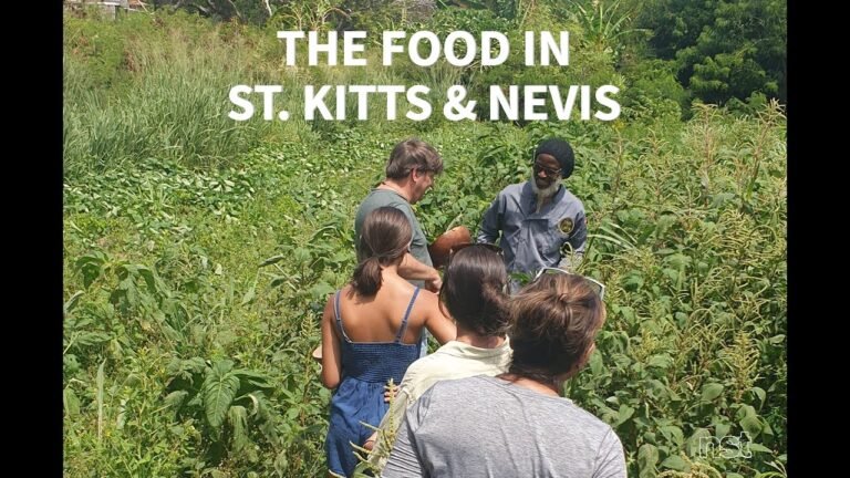 Seven Ways the Food in St  Kitts and Nevis Enhances Your Vacation