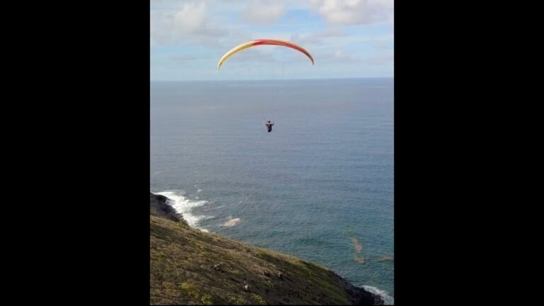 Study Break Paragliding in St. Kitts #shorts