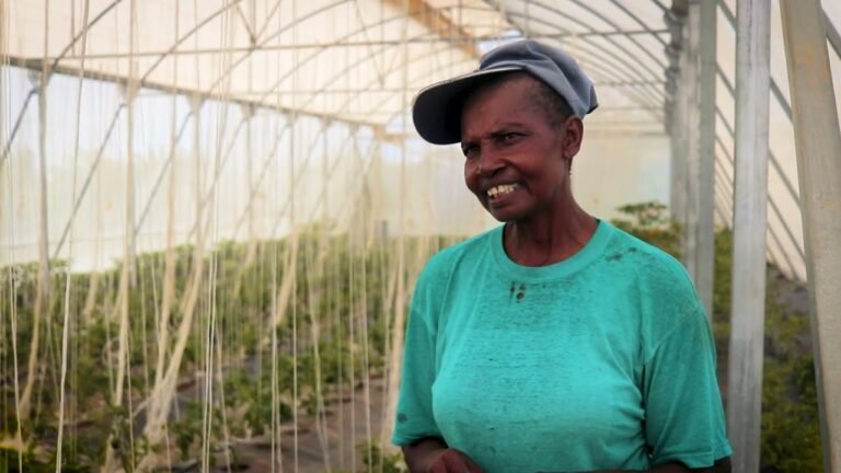 Climate Action in St. Kitts and Nevis: Spotlight on Fahies Agricultural Women Cooperative